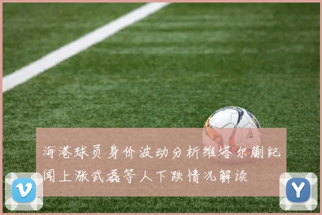 海港球员身价波动分析维塔尔蒯纪闻上涨武磊等人下跌情况解读